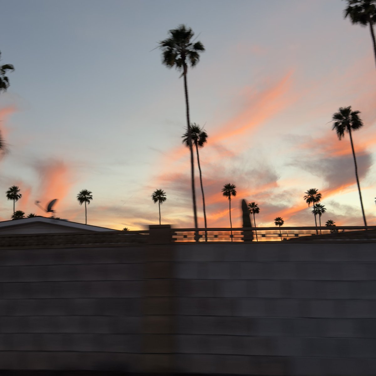 Jazz Fatal tweet media