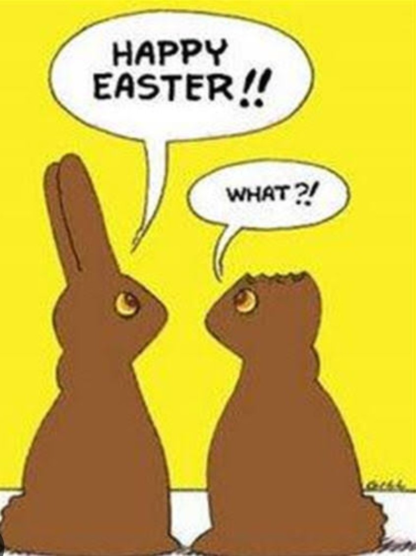 The Balls on the Falls tweet media