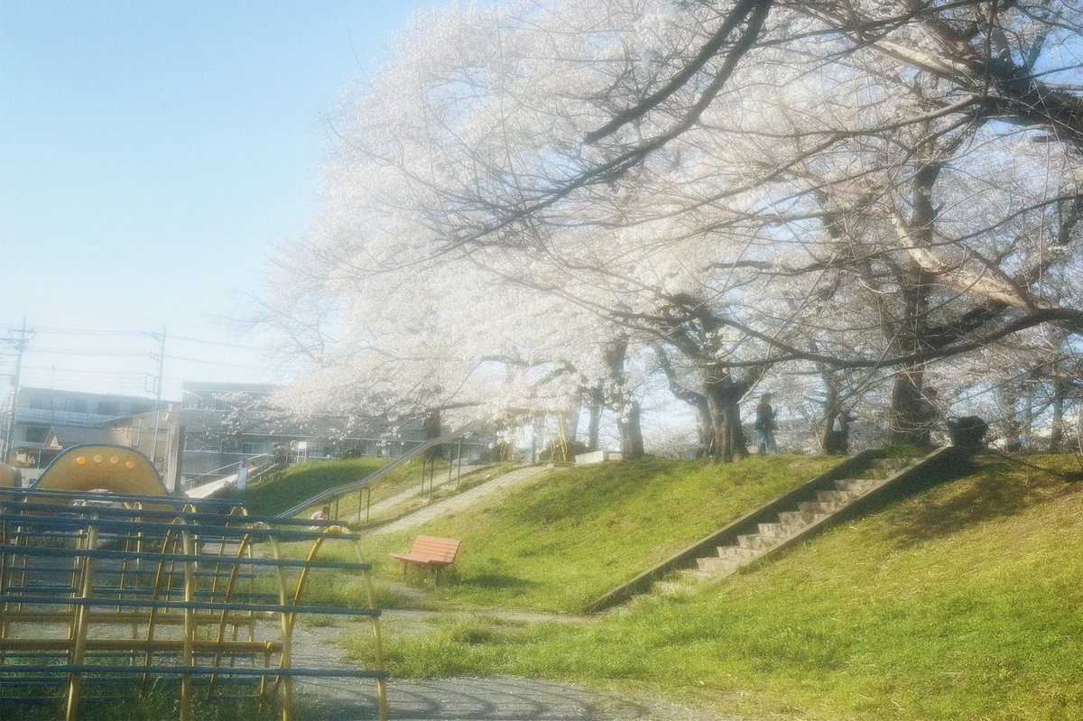 すなお tweet media