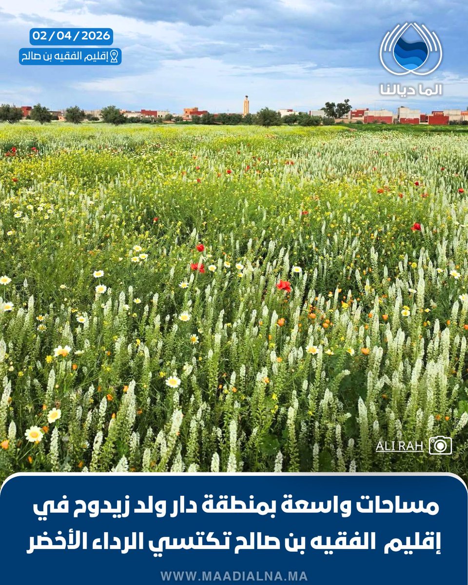 الما ديالنا tweet media