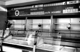 ZitoAmeriki__ tweet media