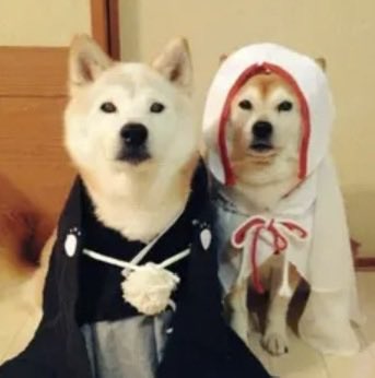 yulemoon tweet media