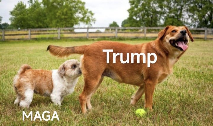 therealijn tweet media