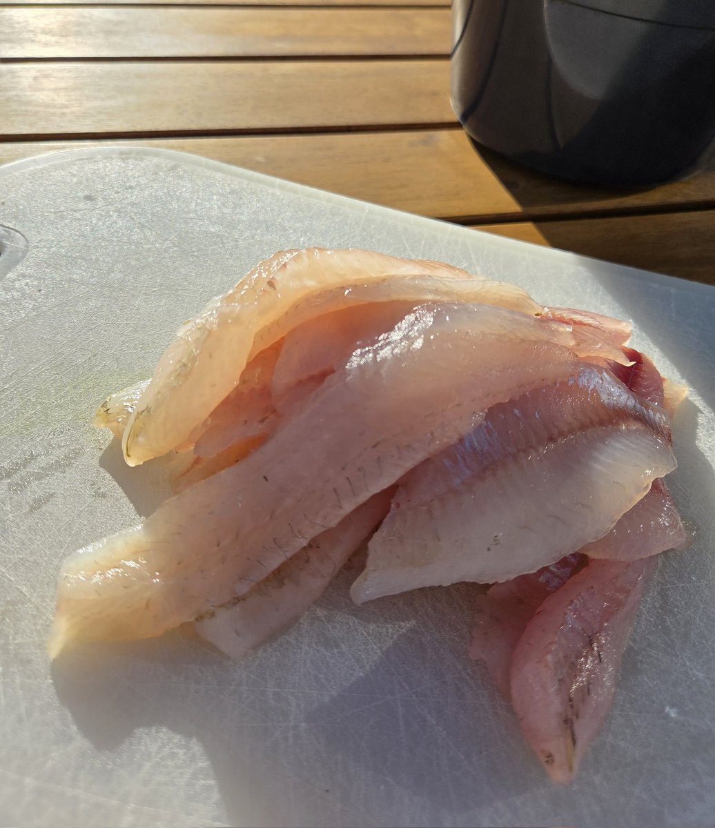 Karina Jutila tweet media