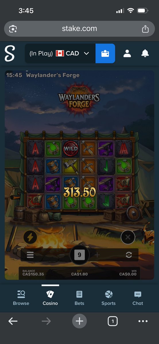 Hawk_Chewy🇨🇦 tweet media