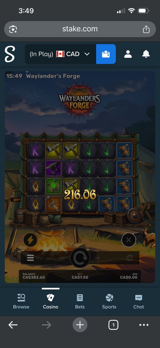 Hawk_Chewy🇨🇦 tweet media