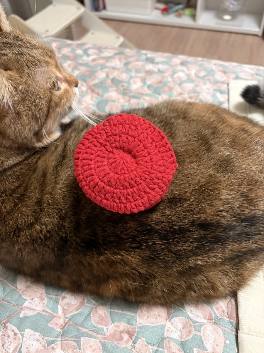 체스맨 🍍🪐🧃 tweet media