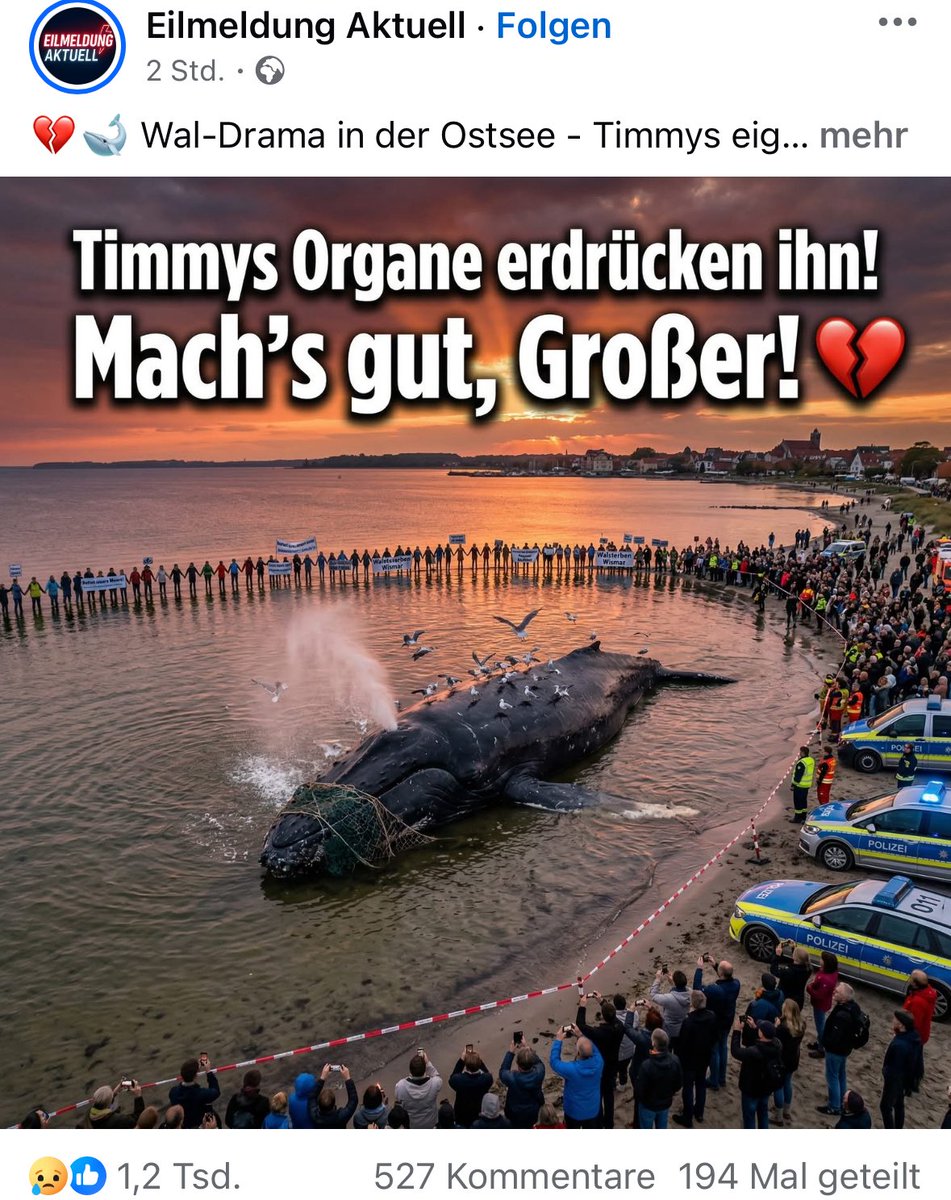 Taxiteller Fonzy tweet media