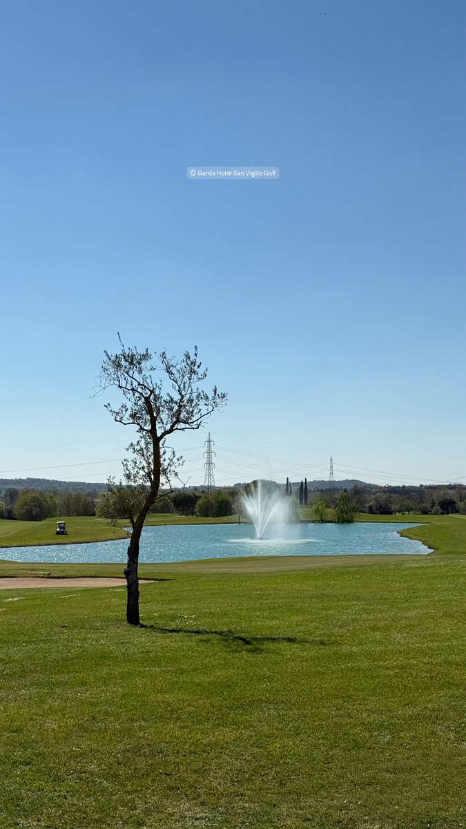 canaleDDM tweet media