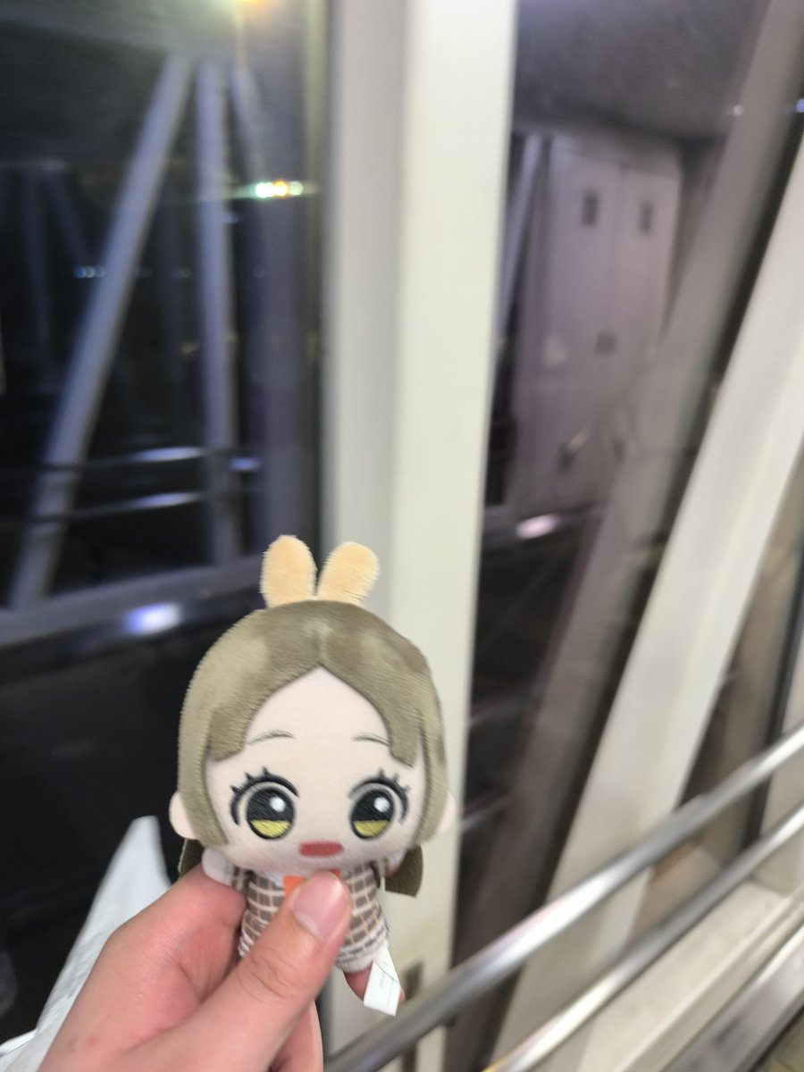 じきる先生 tweet media