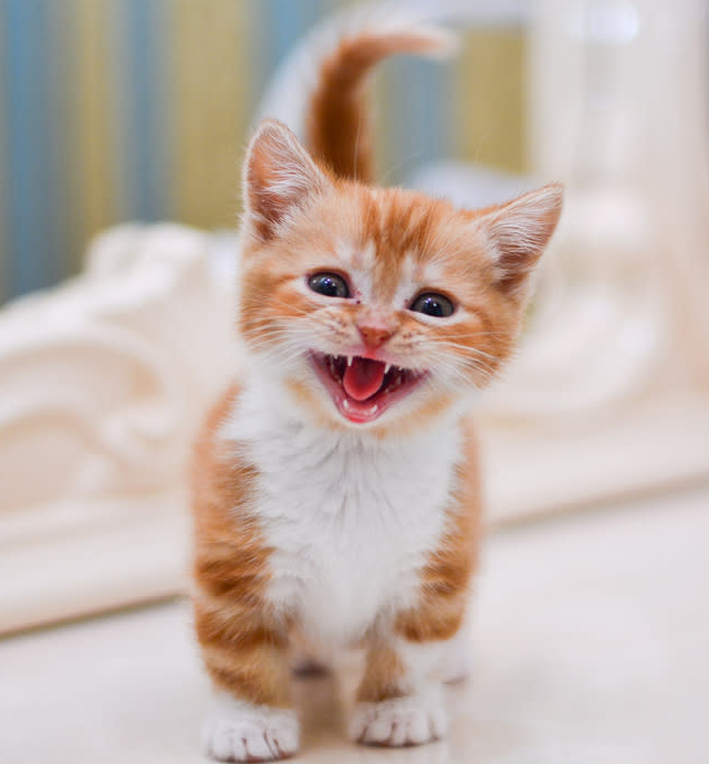 Jordan 💚 tweet media