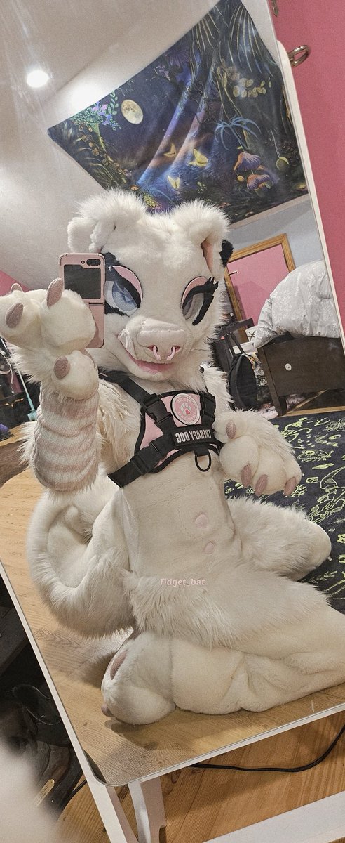 Fidget The Bat🦇 tweet media