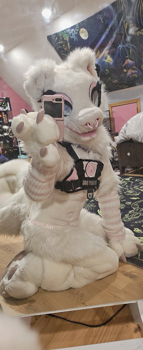 Fidget The Bat🦇 tweet media