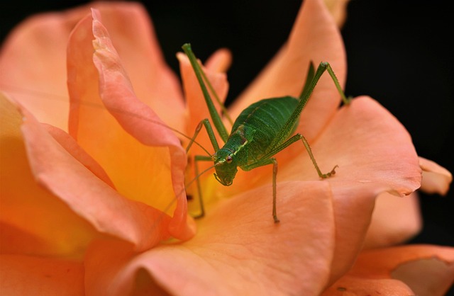 Jennifer Hunter tweet media