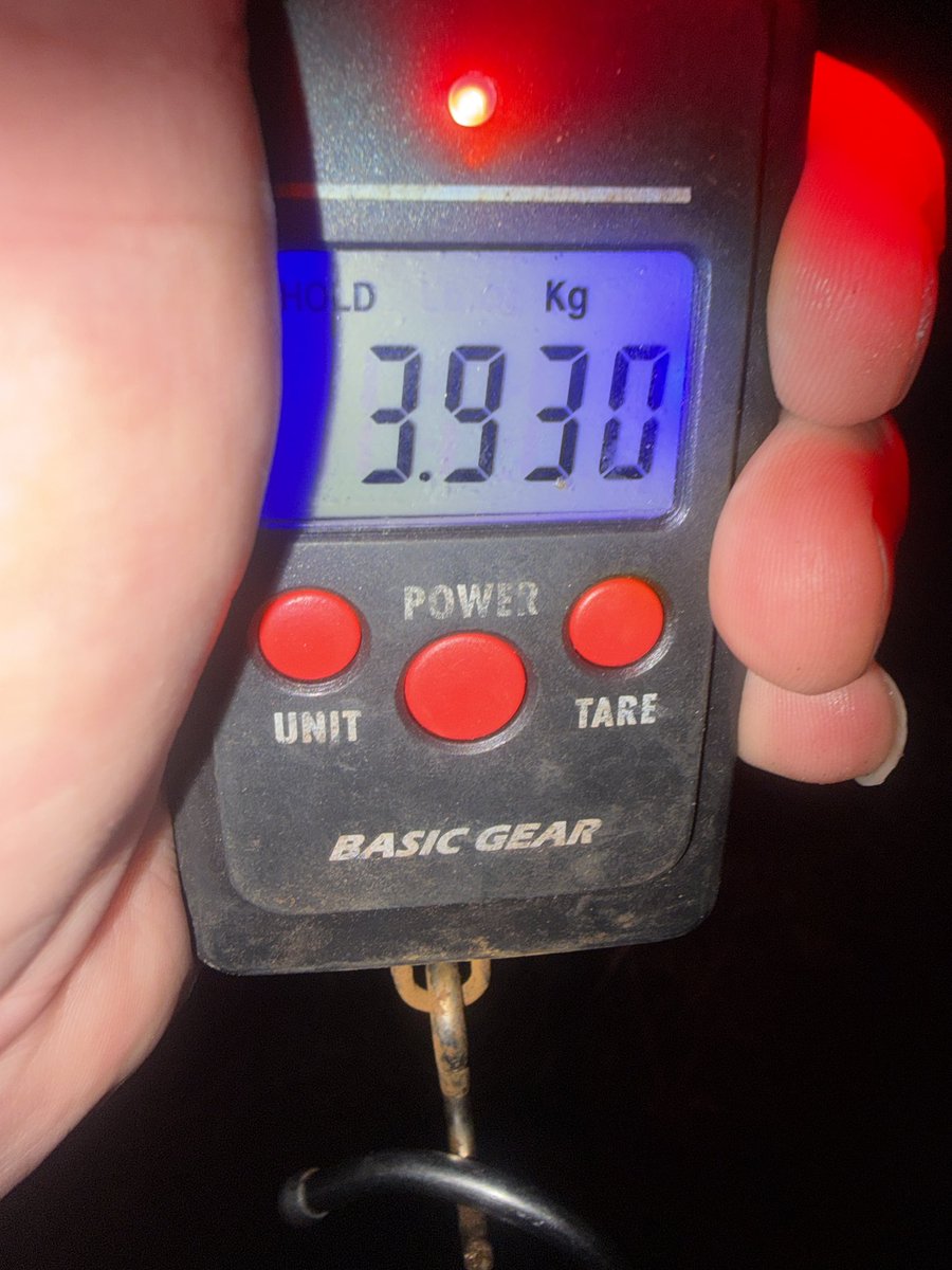 ヨシン tweet media