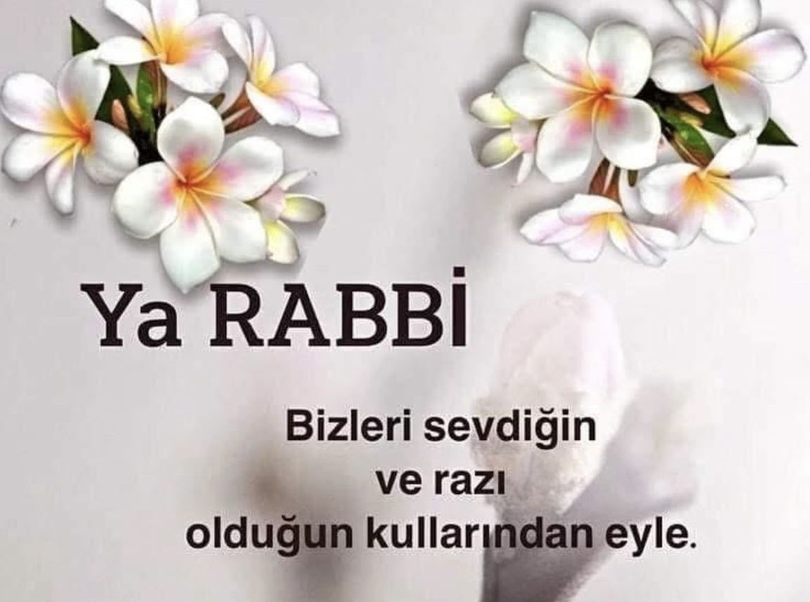 serpil (@srpl_ykl) on Twitter photo 