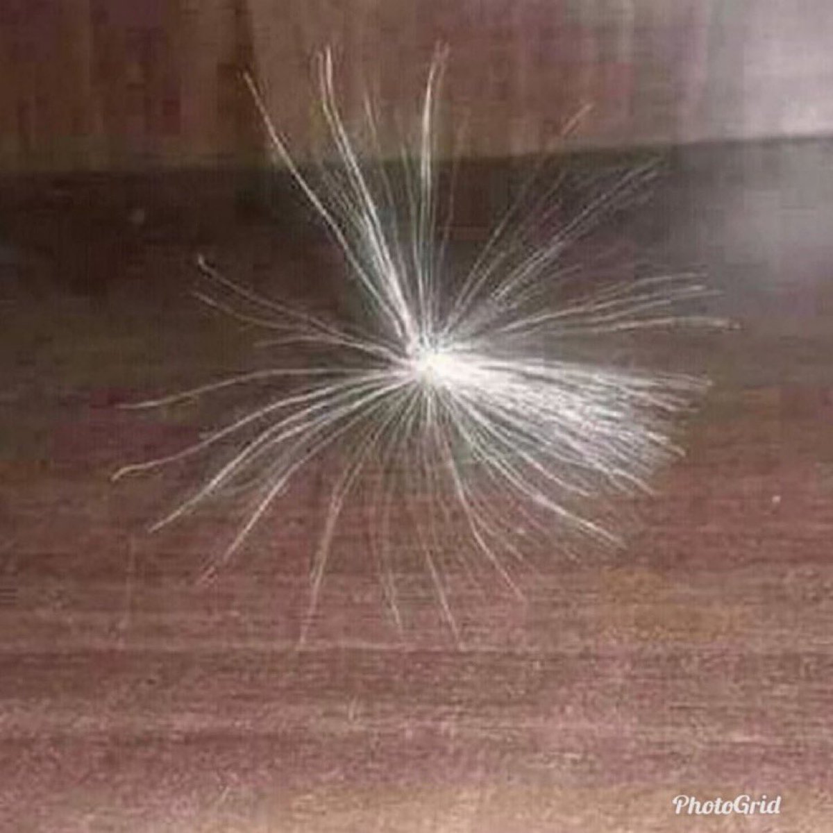 Ammar Hajji عمار حاجي tweet media