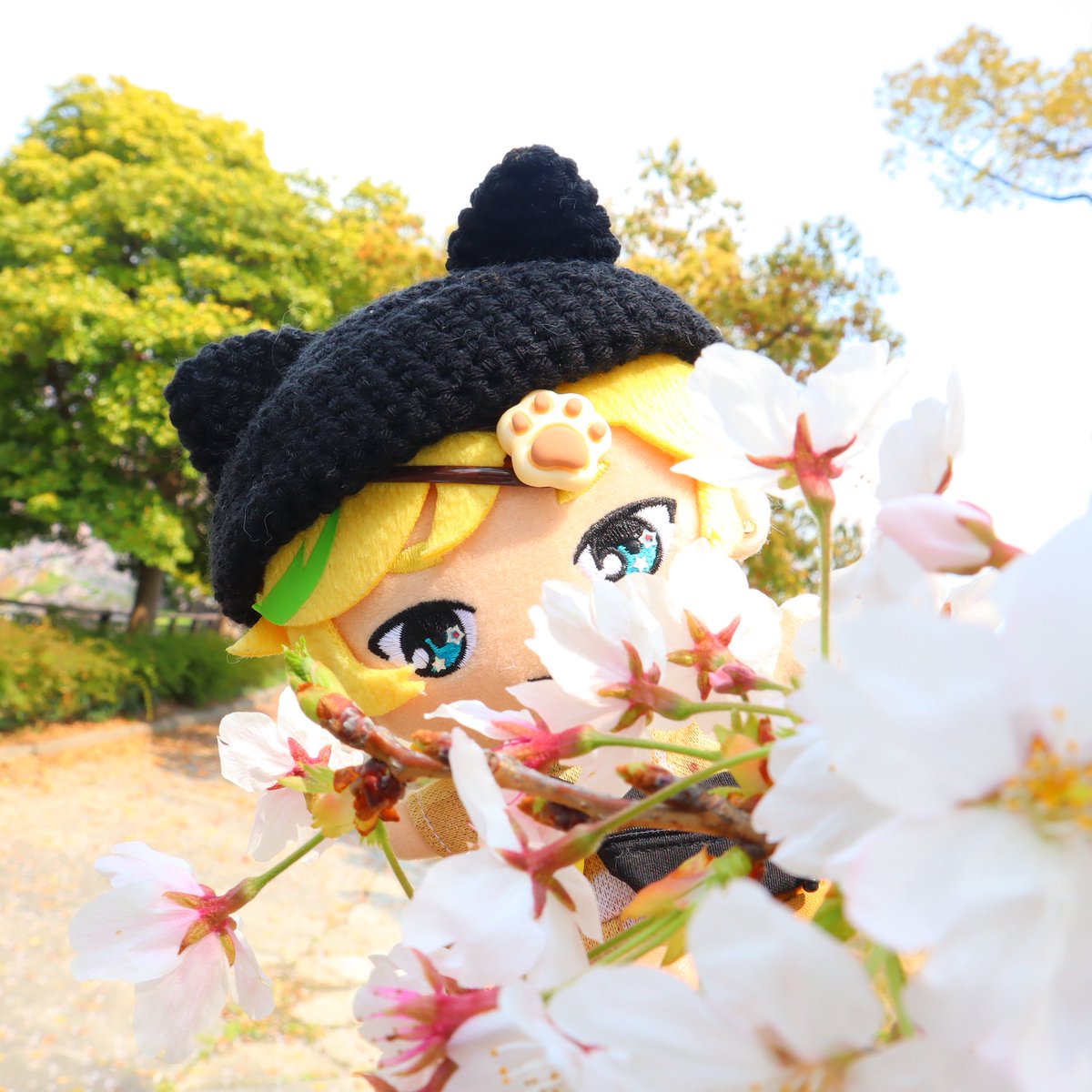 ひとの世に興味があるわた(たち) tweet media