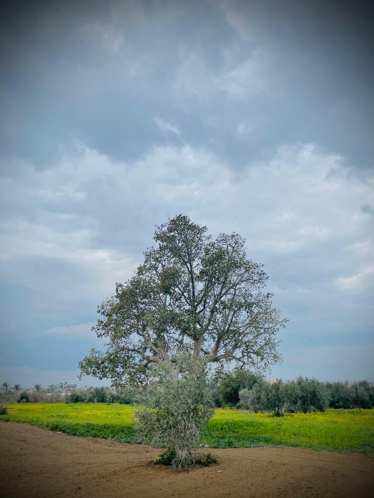 Eng Abdullah Alrqeb 𓂆 tweet media