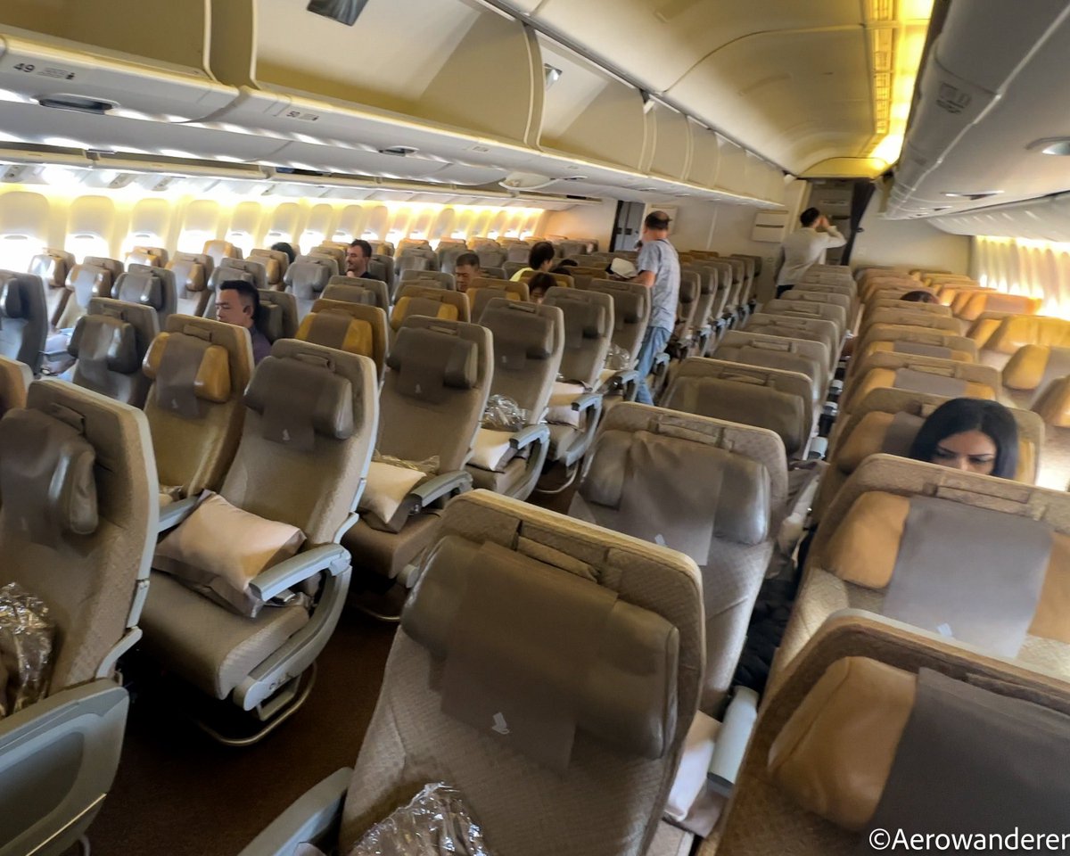 Aerowanderer tweet media