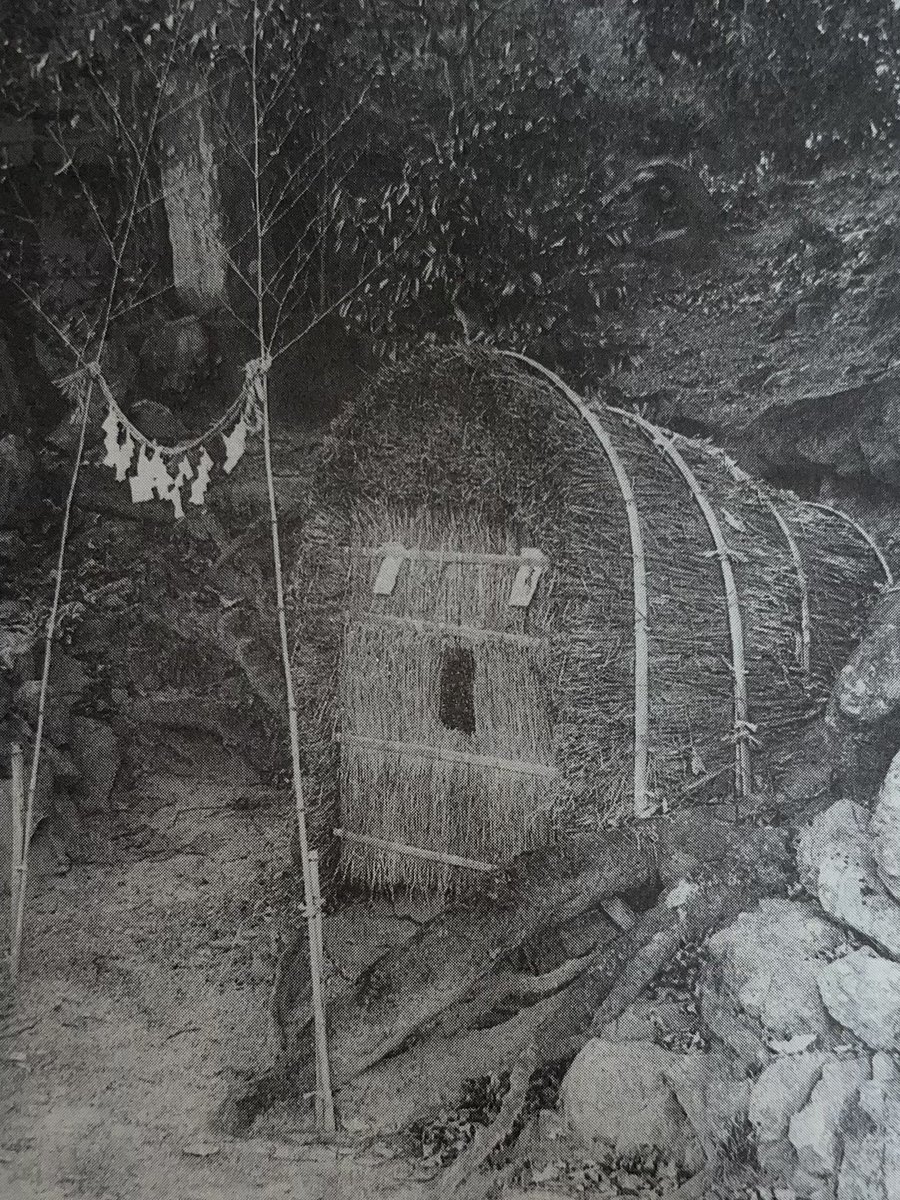 ひばち tweet media