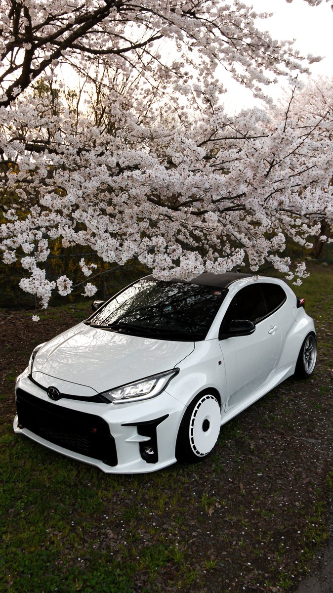 ひろキチ tweet media