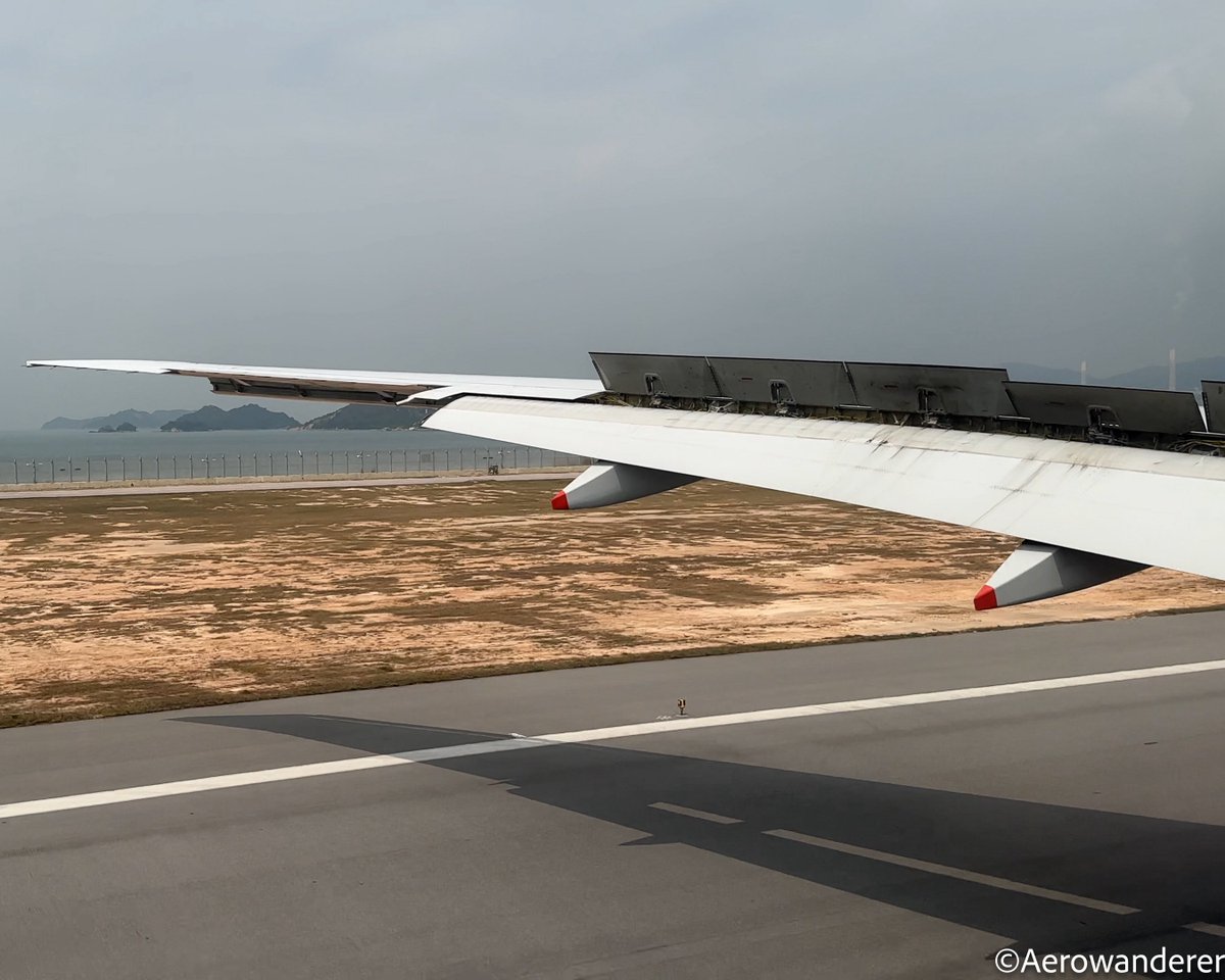 Aerowanderer tweet media
