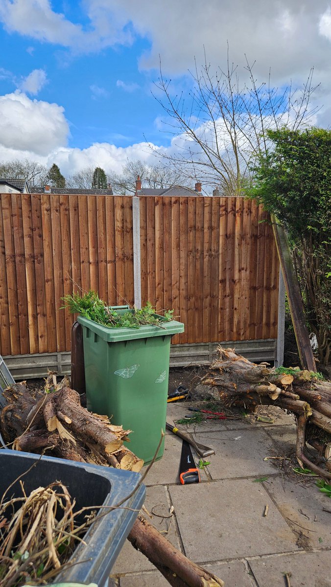 Anita💚✨️ tweet media