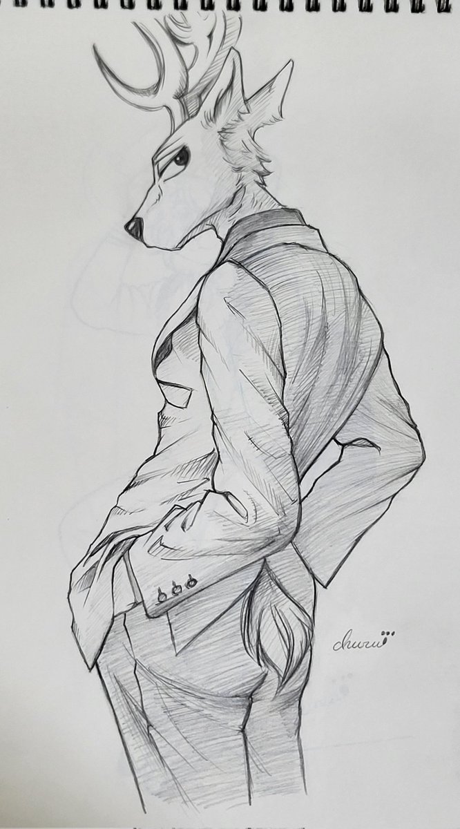 ちゅーる tweet media