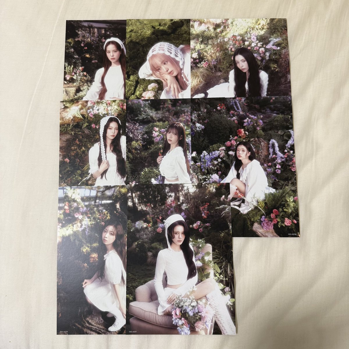 取引垢☆.。.:*・° tweet media