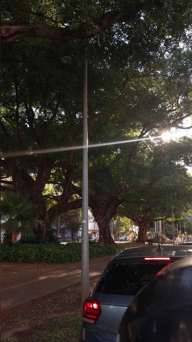 nunca fui tão brisada pro serviço... nem fumei nada, mas pqp tu viaja nessa paisagem msm sfdd