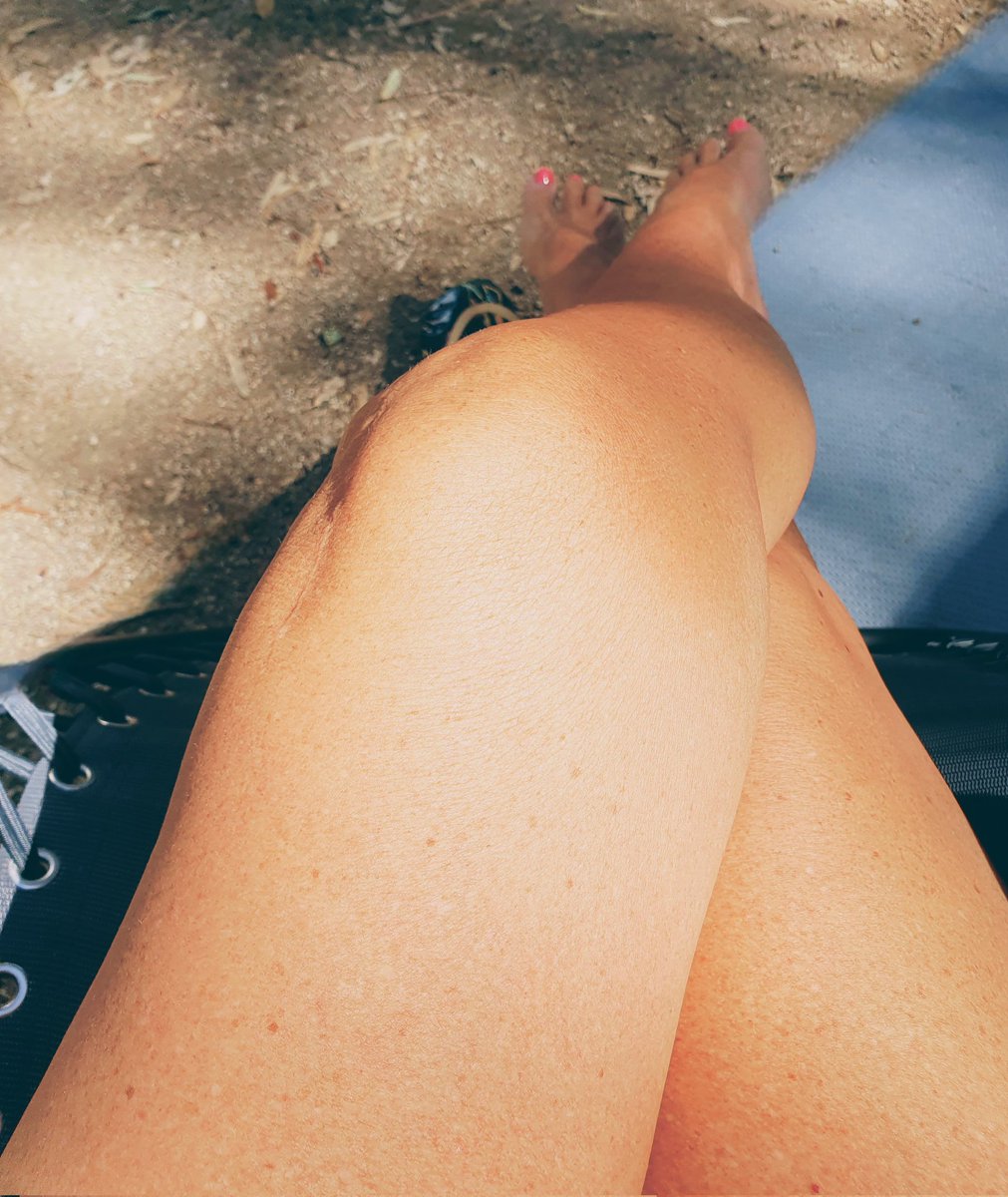 anna 🌹🦂 tweet media