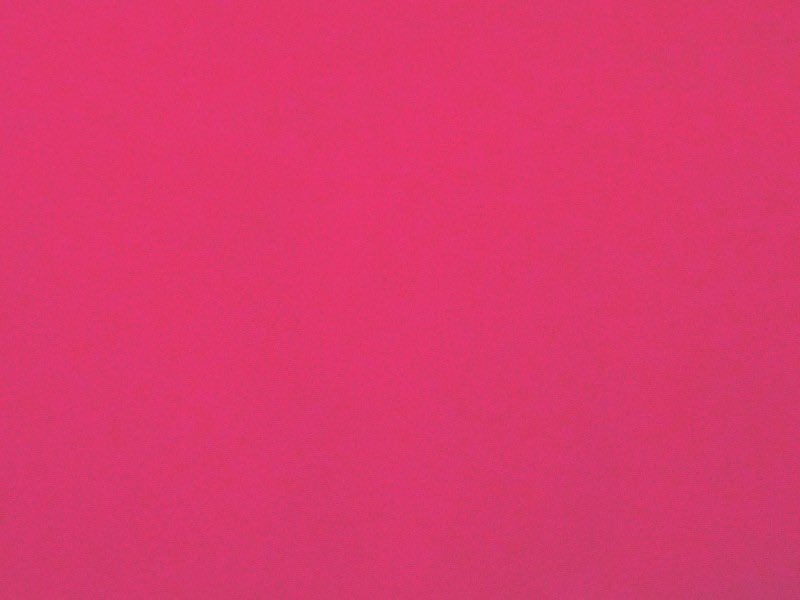 すみれ tweet media