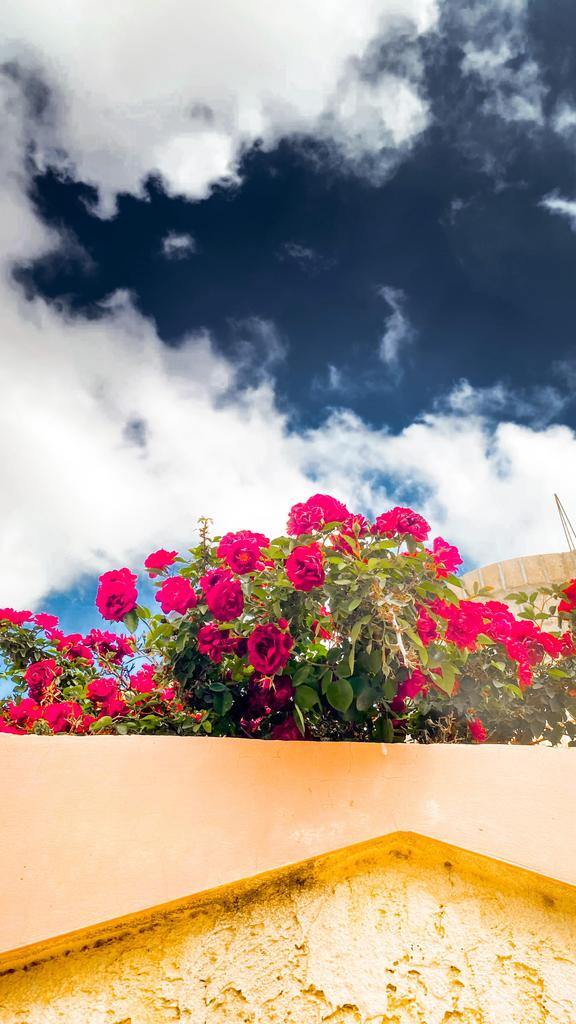 Eng Abdullah Alrqeb 𓂆 tweet media