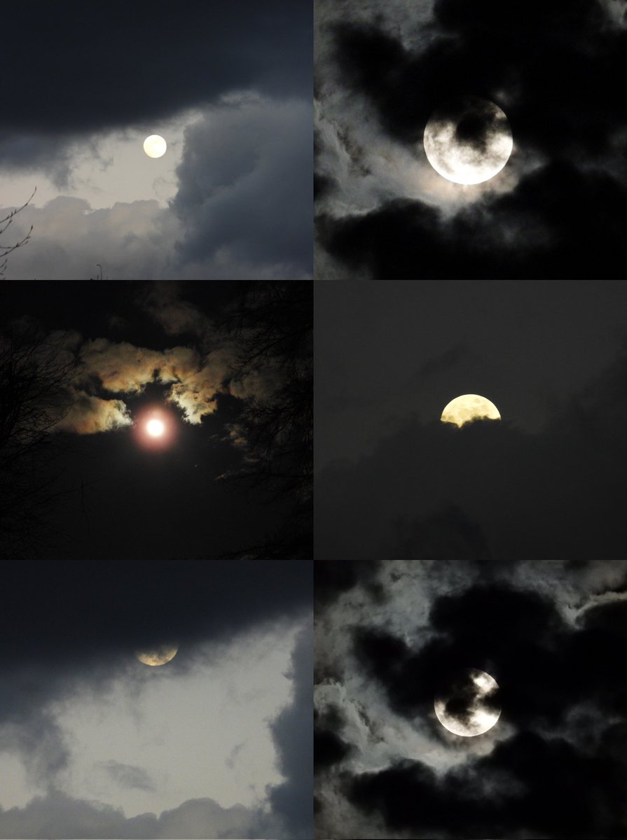 FunkyAppleTree's tweet image. Pink Moon highlights 🤣
Apparently, the Artemis II crew had a much better view! 🚀😊  @StormHour @ThePhotoHour @NASAArtemis #ArtemisII #Fullmoon #PinkMoon