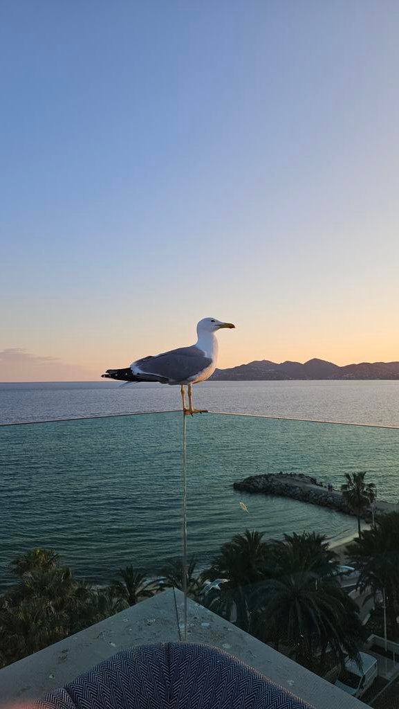 AIRDROPS.IO tweet media