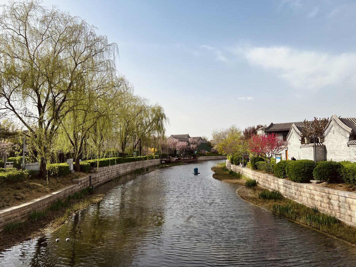 raven von sternberg tweet media