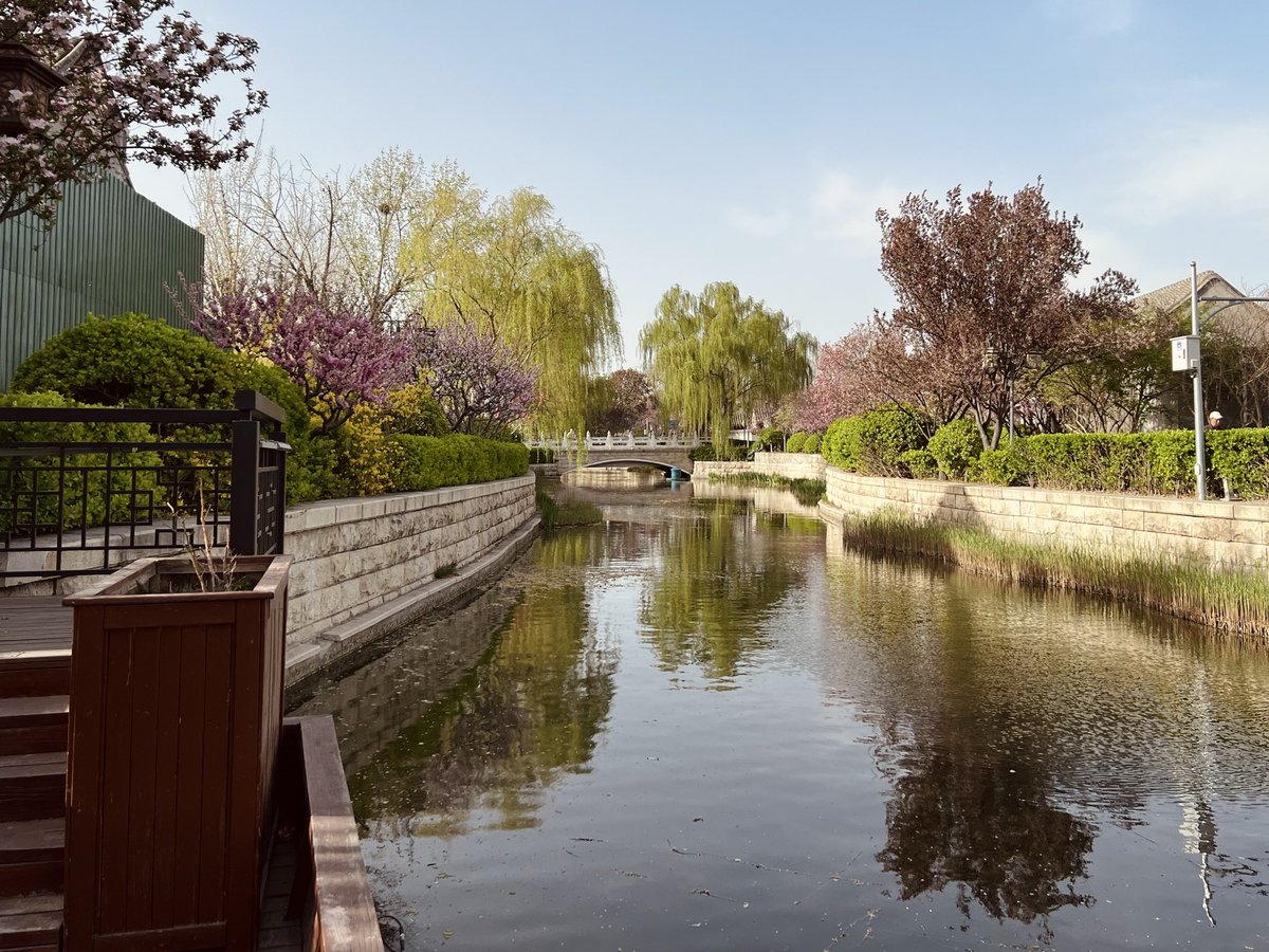 raven von sternberg tweet media