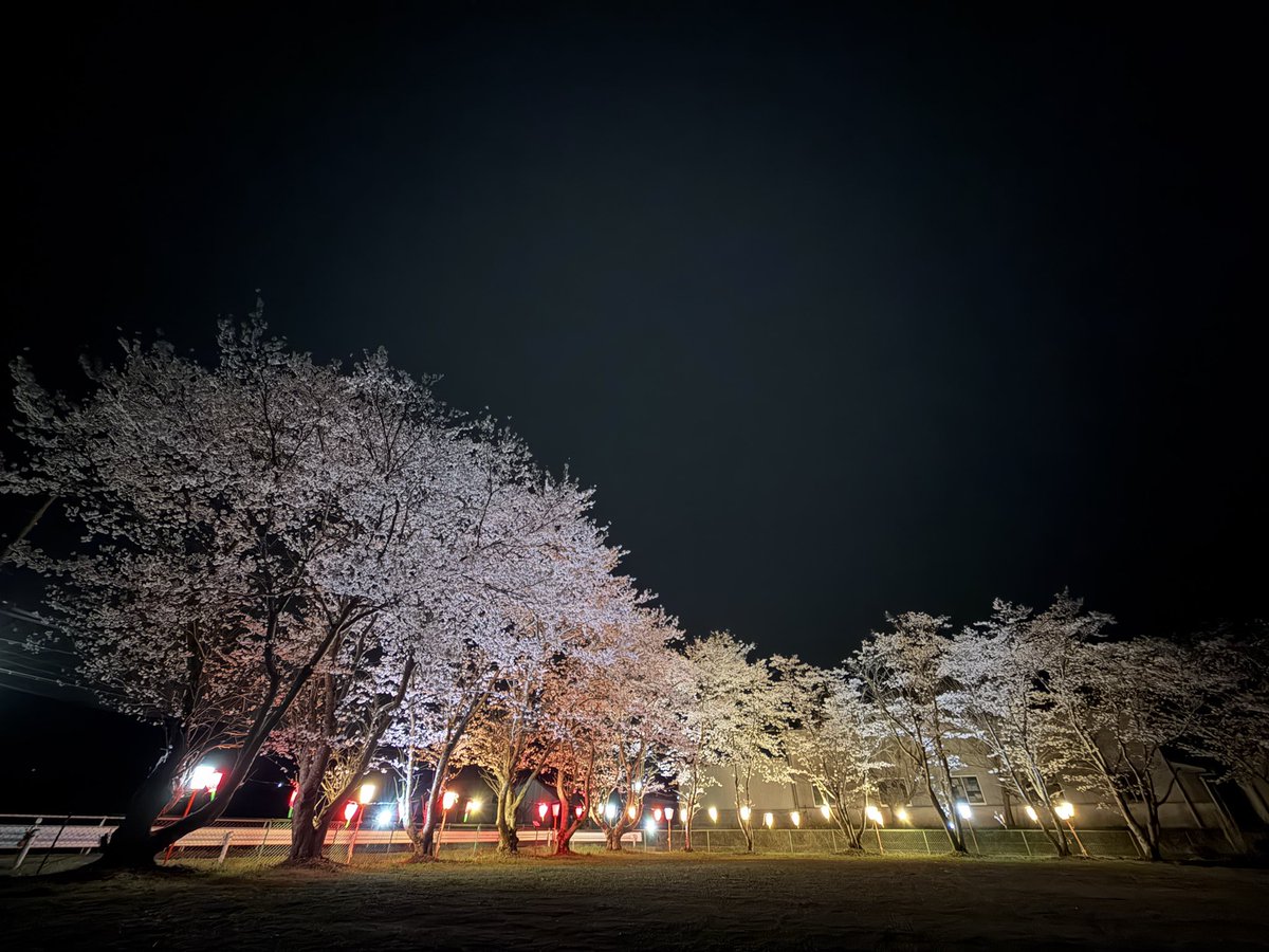 粗ちんディ⤴︎⤴︎╰⋃╯ tweet media