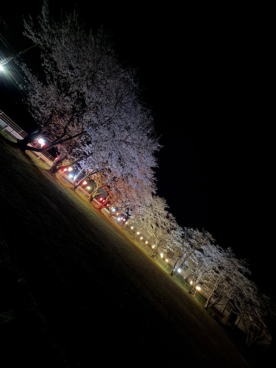 粗ちんディ⤴︎⤴︎╰⋃╯ tweet media