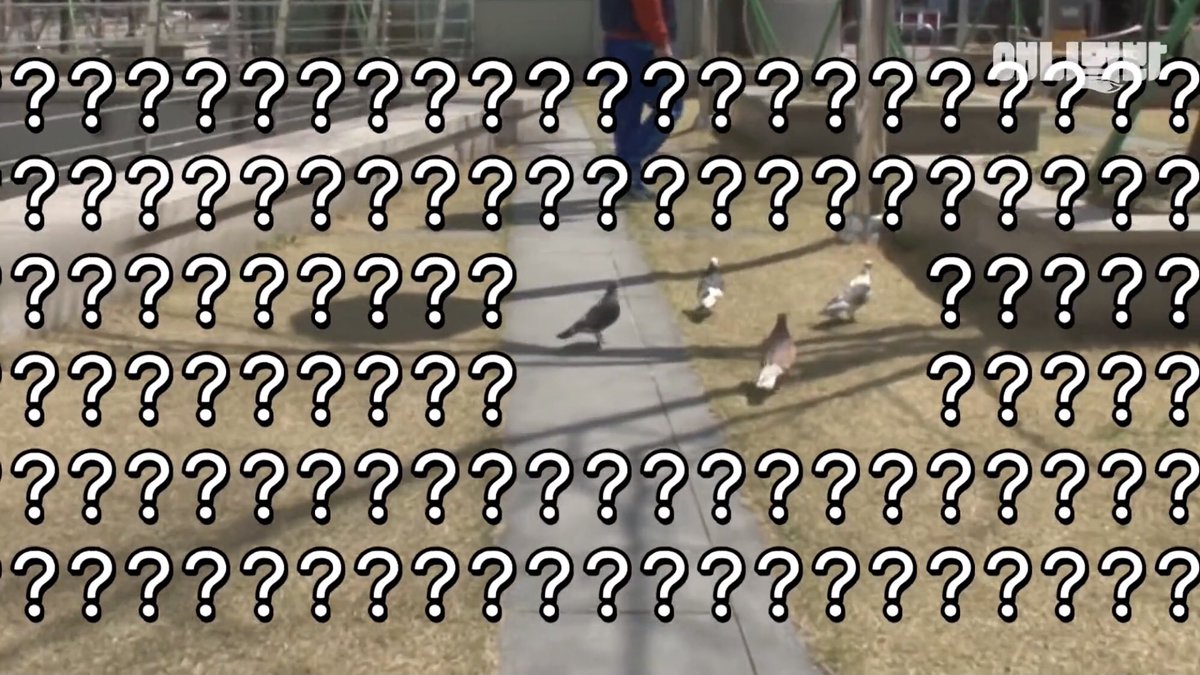 あと擬音を長く伸ばすと性的扱いでBANされる可能性があるらしい…?🤔