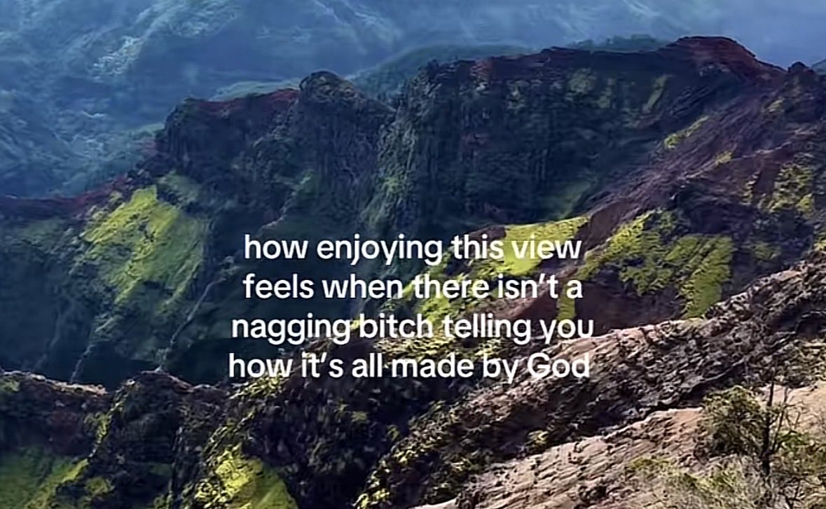 Doctor Shrimp Puerto Rico, MD tweet media