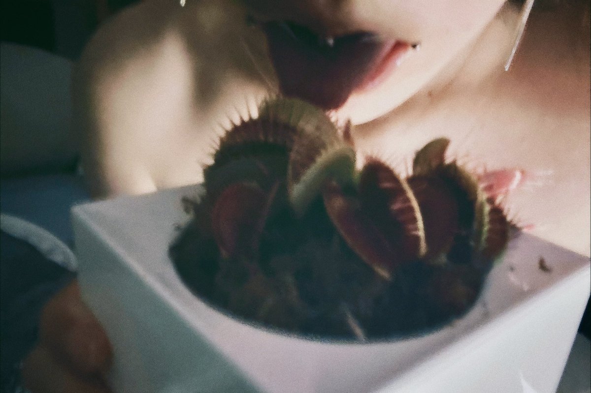 烤虚拟鱼 tweet media