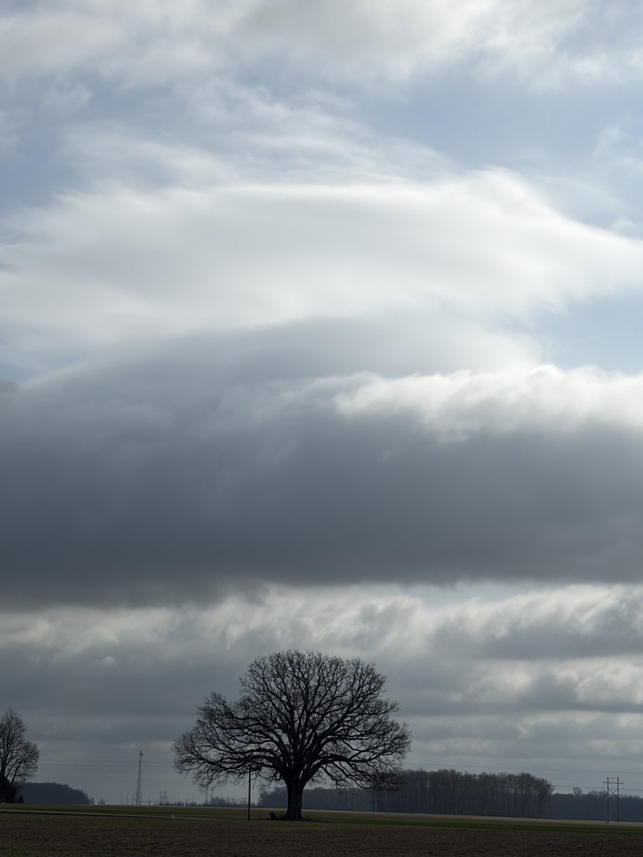 💜