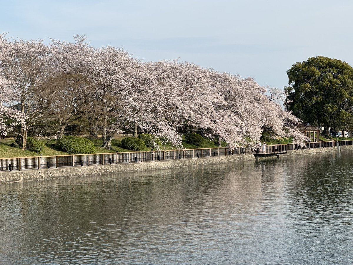 ゆえ@お得情報 tweet media