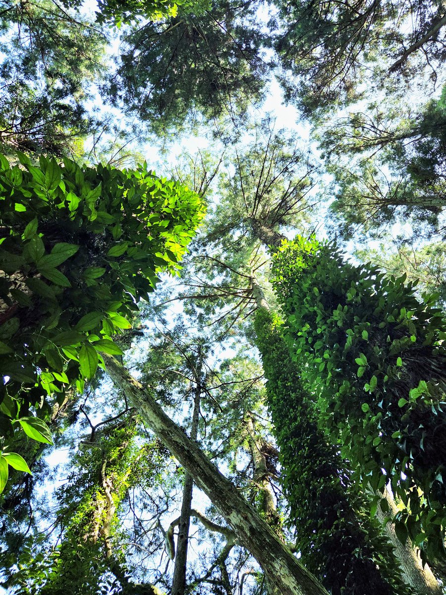 小松由佳 『 ハイポテンシャル』Disney+ tweet media