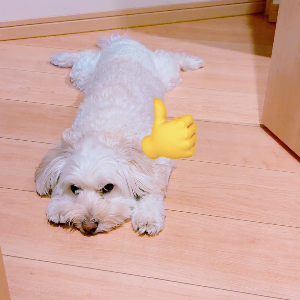 ₙₐₜₛᵤ💮 tweet media