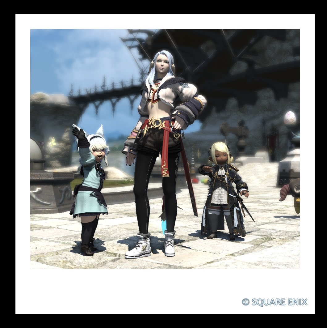 えいる🦭✨ tweet media