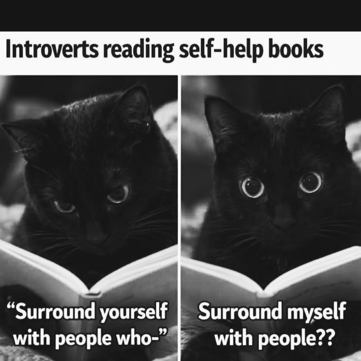 CatOwnersGlobal's tweet image. Dilemma...👇😉😂 #Cats #Catlovers #CatsOfX