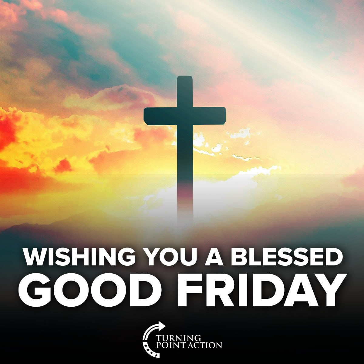 Turning Point Action tweet media